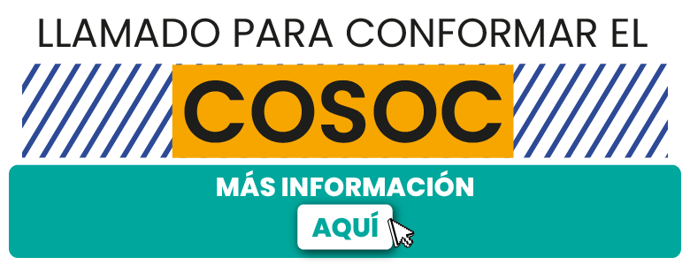 Noveno llamado conformación COSOC