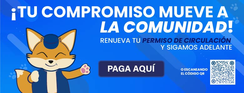 Paga tu Permiso de circulación 2025