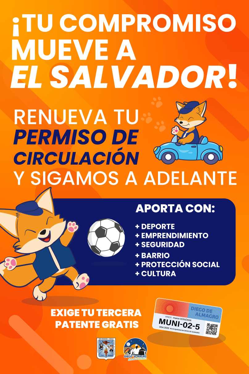 Pago Permiso de circulación